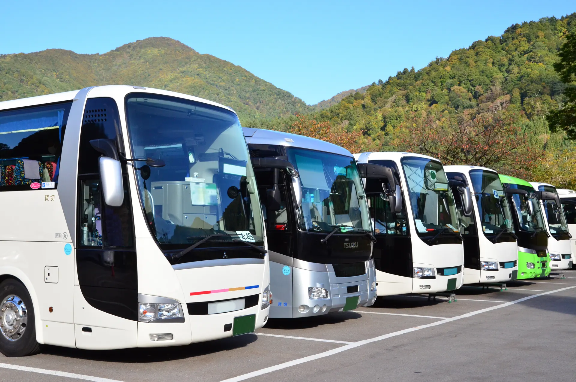 貸切バスの点呼に関する行政処分の基準 ヒーロー画像
